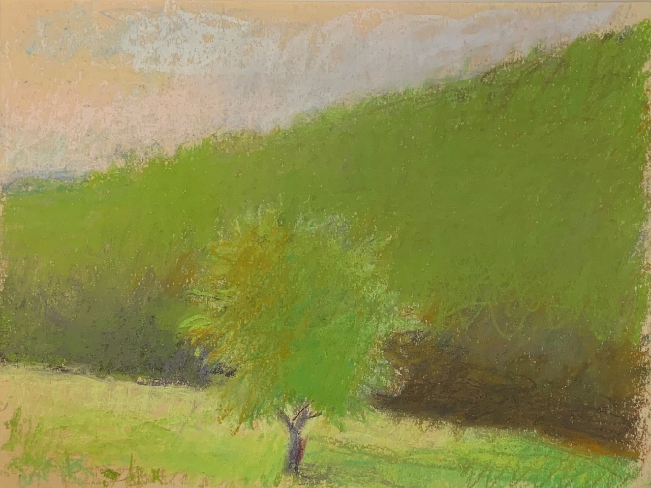 Wolf Kahn, Green Tree Against a Green Slope, 1991
pastel on paper, 9 x 12 in. (22.9 x 30.5 cm)
WK230901