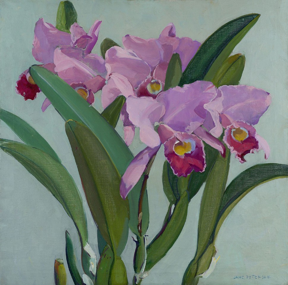 Jane Peterson, Cattleya Orchids
oil on canvas, 32 x 32 in. (81.3 x 81.3 cm)
JP240102_