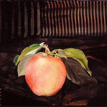 painting: Steve Hawley Apple with an Attitude