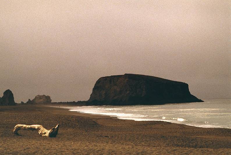 Robert Farber, Driftwood, California, Edition of 25, 1998
fine art paper pigment print, 30 x 40 in. (76.2 x 101.6 cm)
RF131091