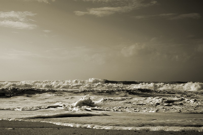 Debranne Cingari, Whipped Foam, 2012
silver gelatin photograph, 20 x 24 in. (50.8 x 61 cm)
DC130305 (IMG_5998)