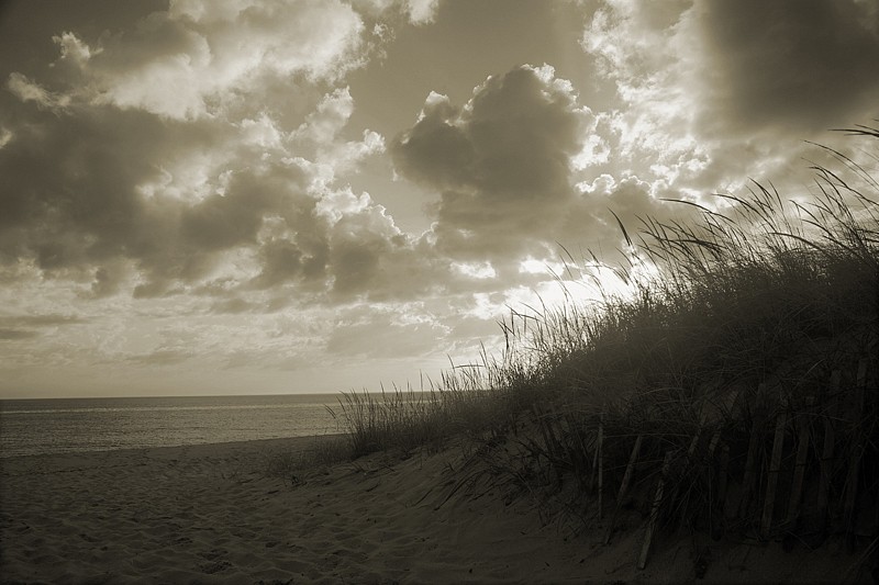 Debranne Cingari, The Weathered Fence, 2012
Pigment Photograph, 24 x 34 in. (61 x 86.4 cm)
DC130313