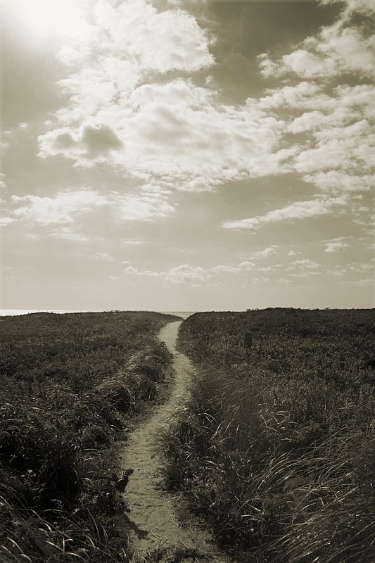 Debranne Cingari, The Journey, Ed. 1/50, 2013
silver gelatin photograph, 24 x 20 in. (61 x 50.8 cm)
DC130310