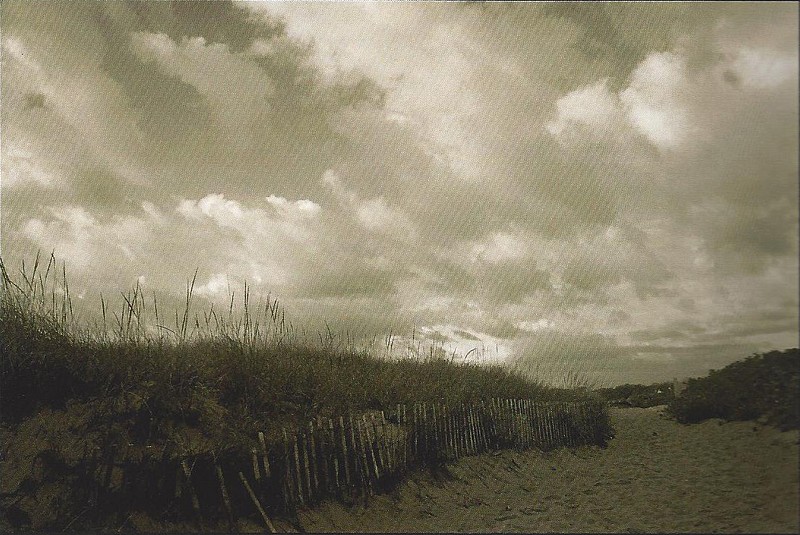 Debranne Cingari, Stroll Before The Storm, Edition of 50, 2013
Pigment Photograph, 30 x 40 in. (76.2 x 101.6 cm)
DC5688