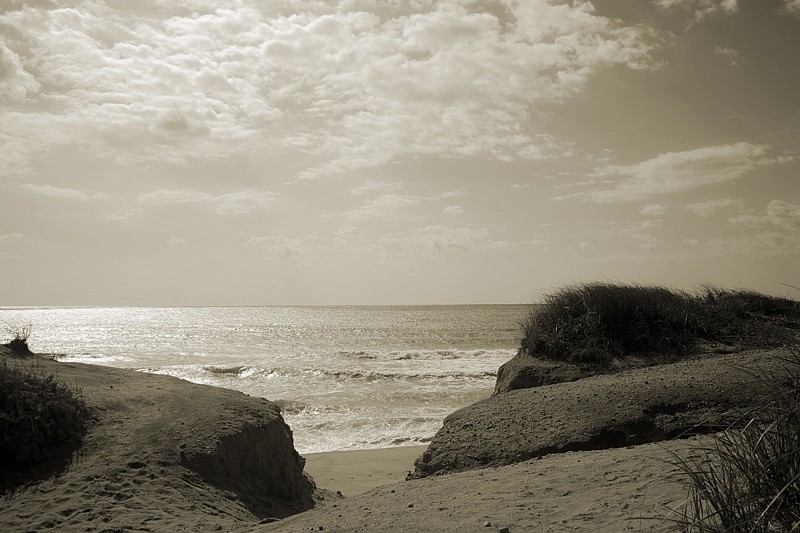 Debranne Cingari, Private Fishing Spot, 2013
Pigment Photograph, 30 x 40 in. (76.2 x 101.6 cm)
DC130303 (IMG_5967)