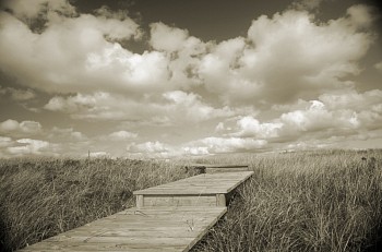 Debranne Cingari - Debranne Cingari Pathway to Heaven II, Edition of 50