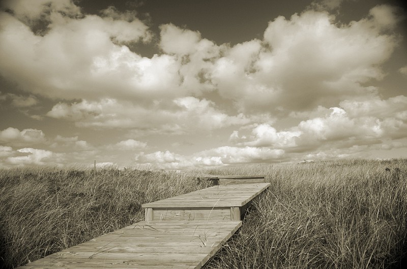 Debranne Cingari, Pathway to Heaven II, Edition of 50
Pigment Photograph, 30 x 40 in. (76.2 x 101.6 cm)
DC7417