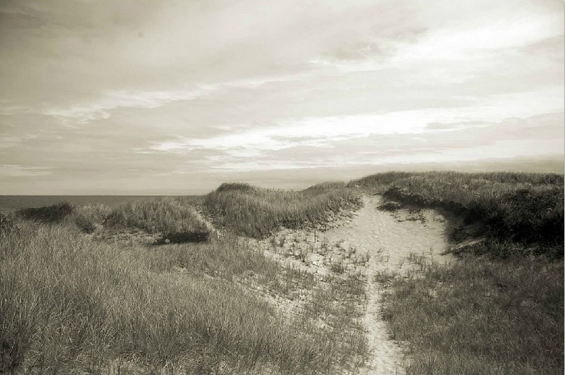 Debranne Cingari, Over the Dionis Dunes, Edition of 50, 2012
Pigment Photograph, 30 x 40 in. (76.2 x 101.6 cm)
DC4339