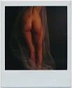Robert Farber, Nude with Veil, Edition of 9
fine art paper pigment print