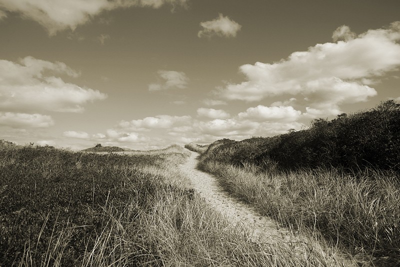 Debranne Cingari, Nantucket Wonders, Ed. 1/50, 2013
Pigment Photograph, 30 x 40 in. (76.2 x 101.6 cm)
DC130301