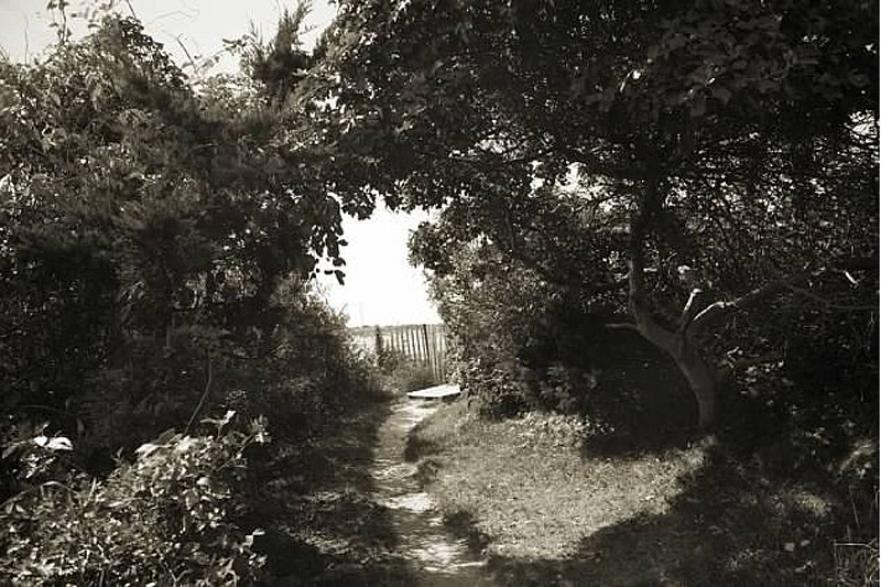 Debranne Cingari, Hidden Pathway at Monomy, Edition of 50, 2012
Pigment Photograph, 30 x 40 in. (76.2 x 101.6 cm)
DC3441