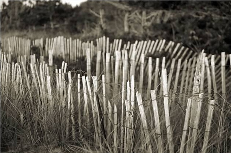 Debranne Cingari, Fence Clutter, Edition of 50, 2013
Pigment Photograph, 30 x 40 in. (76.2 x 101.6 cm)
DC3191