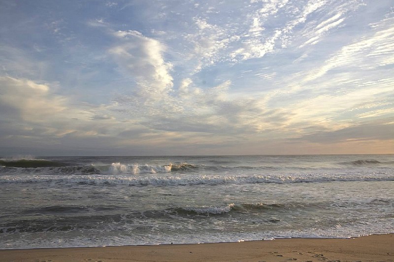 Debranne Cingari, Dionis Delights, Edition of 50, 2012
Pigment Photograph, 30 x 40 in. (76.2 x 101.6 cm)
DC4367