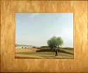 Scott Duce, Summer Olive Tree
2007, oil on canvas