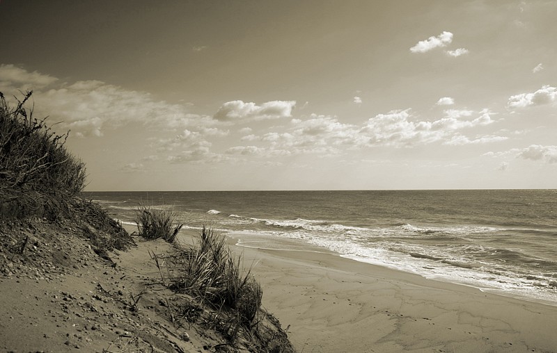 Debranne Cingari, Over The Dune, Edition of 50, 2013
Pigment Photograph, 30 x 40 in. (76.2 x 101.6 cm)
DC6038