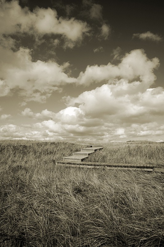 Debranne Cingari, Pathway To The Unknown, Edition of 50, 2013
Pigment Photograph, 30 x 40 in. (76.2 x 101.6 cm)
DC7394