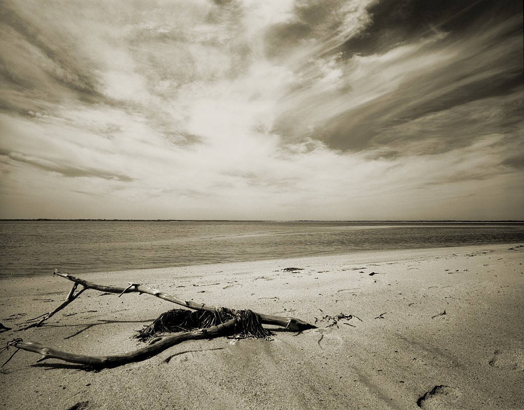 Debranne Cingari, Driftwood At Great Point, Edition of 50, 2013
silver gelatin photograph, 30 x 40 in. (76.2 x 101.6 cm)
DC130762