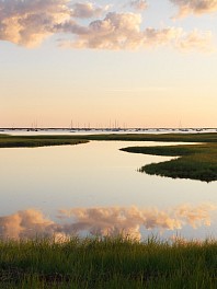 Past Exhibitions: NATHAN COE: Photography Exhibition [Nantucket, MA] Aug 10 - Aug 18, 2015