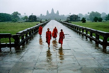 Work: Steve McCurry Monks in the Rain