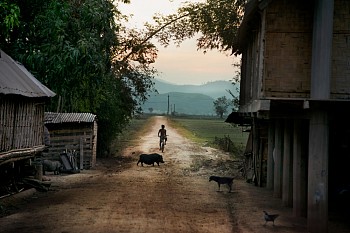 Work: Steve McCurry Boy Rides Bike Down Dirt Road
