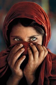 Work: Steve McCurry Afghan Girl with Hands on Face