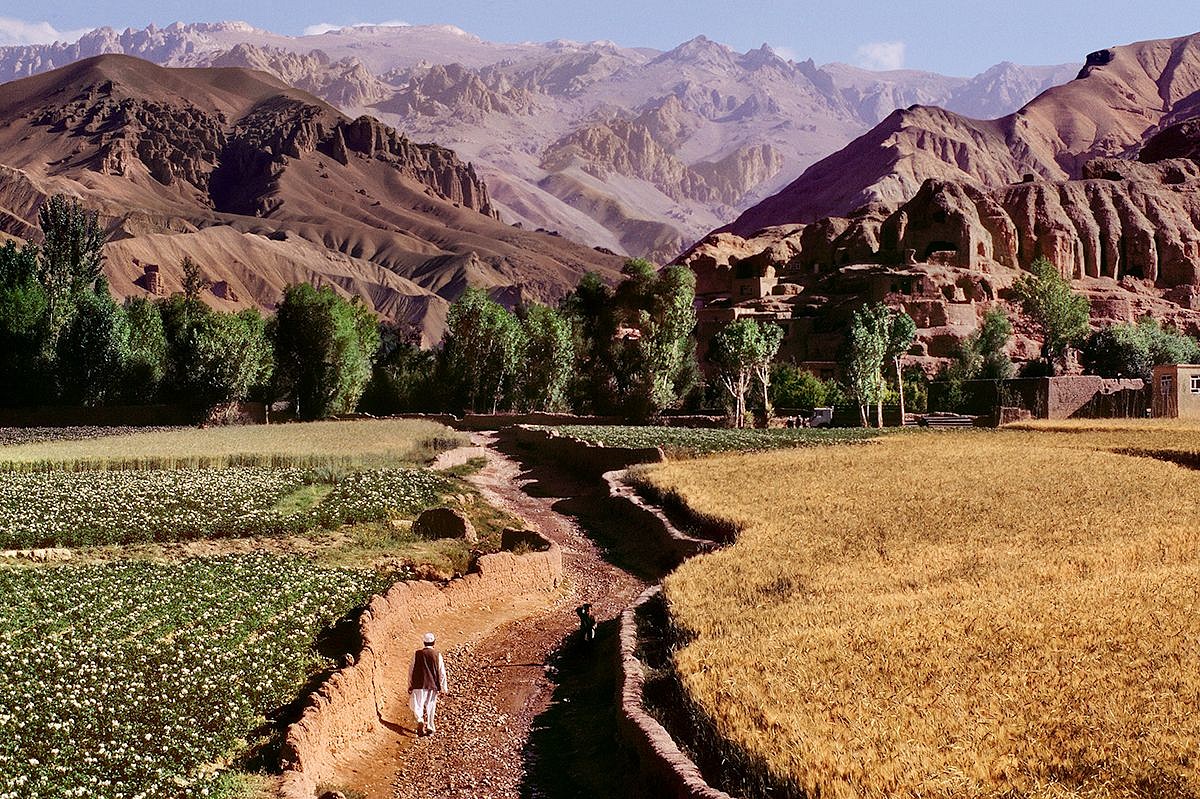 Steve McCurry, Farmer Walks Through Fields, 2006
FujiFlex Crystal Archive Print, 30 x 40 in. (Inquire for additional sizes)
AFGHN-12909