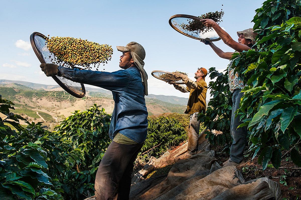 Steve McCurry, Three Farmers Working, 2010
FujiFlex Crystal Archive Print, 40 x 60 in. (Inquire for additional sizes)
BRAZIL-10034NF10