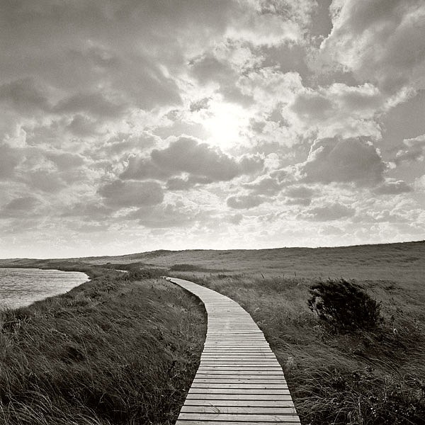 Michael Kahn, Long Point
silver gelatin photograph, 30 x 30 in. (76.2 x 76.2 cm)
MK010509