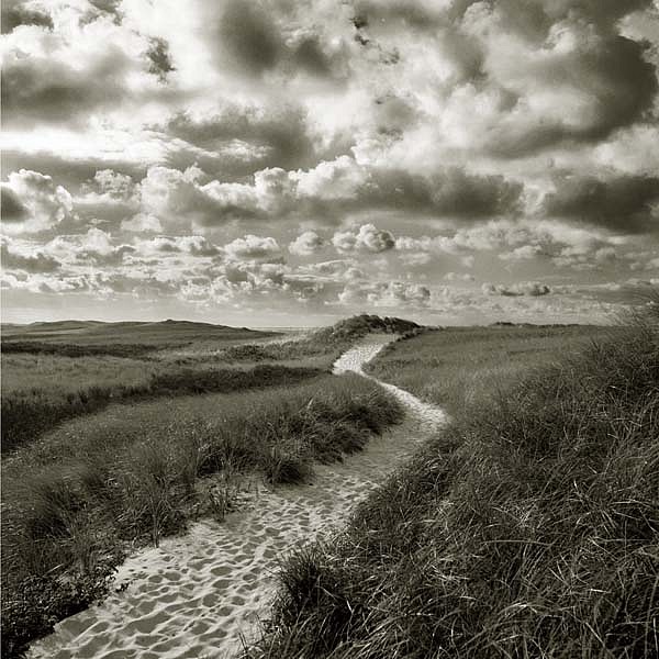 Michael Kahn, Over the Dunes,Edition of 40
silver gelatin photograph, 19 x 19 in. (48.3 x 48.3 cm)
MK992869