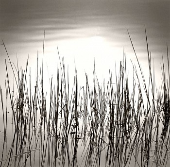 Michael Kahn - Michael Kahn Reeds