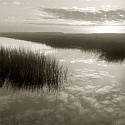 Michael Kahn, Salt Marsh Reflections
silver gelatin photograph