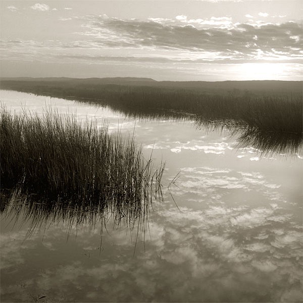 Michael Kahn, Salt Marsh Reflections
silver gelatin photograph, 19 x 19 in. (48.3 x 48.3 cm)
MK220705NI