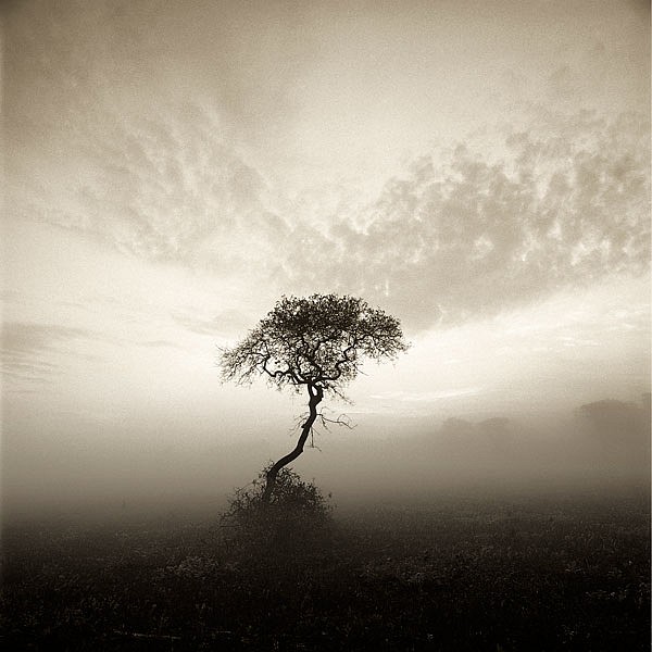 Michael Kahn, Serengeti Nantucket, Edition of 50
silver gelatin photograph, 14 x 14 in. (35.6 x 35.6 cm)
MK 010908