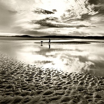 Work: Michael Kahn Treasure Hunt, Edition of 50