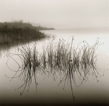 Michael Kahn - Michael Kahn Reeds II