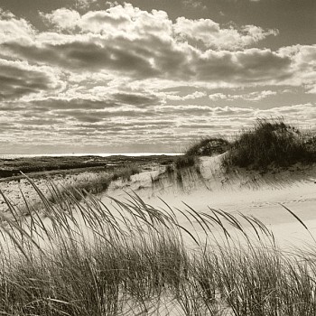 Michael Kahn - Michael Kahn Beyond