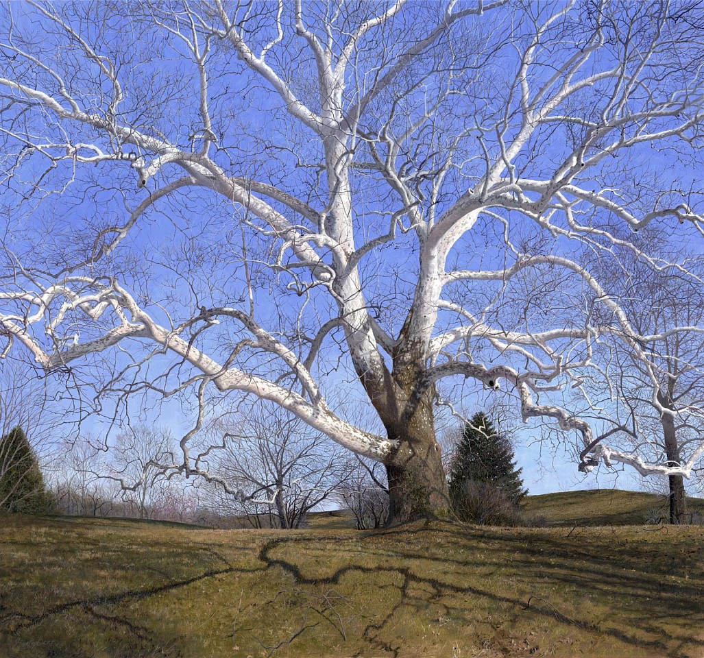Timothy Barr, Olde Glory, 2015
oil on panel, 34 x 30 in. (86.4 x 76.2 cm)
1804003