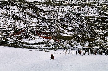 Steve McCurry - Steve McCurry Prayer Flags
