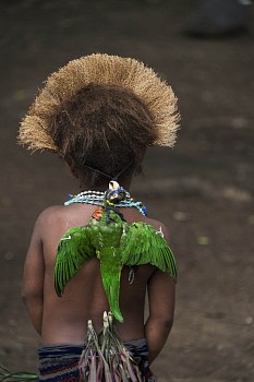 Steve McCurry - Steve McCurry Papau New Guinea - 10006