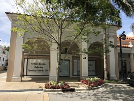 News & Events: PALM BEACH GALLERY - OPENING OCTOBER 2018, September 13, 2018 - Cavalier Galleries