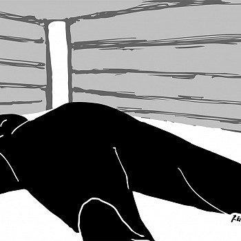 print: Jim Rennert Knockout, Edition of 10