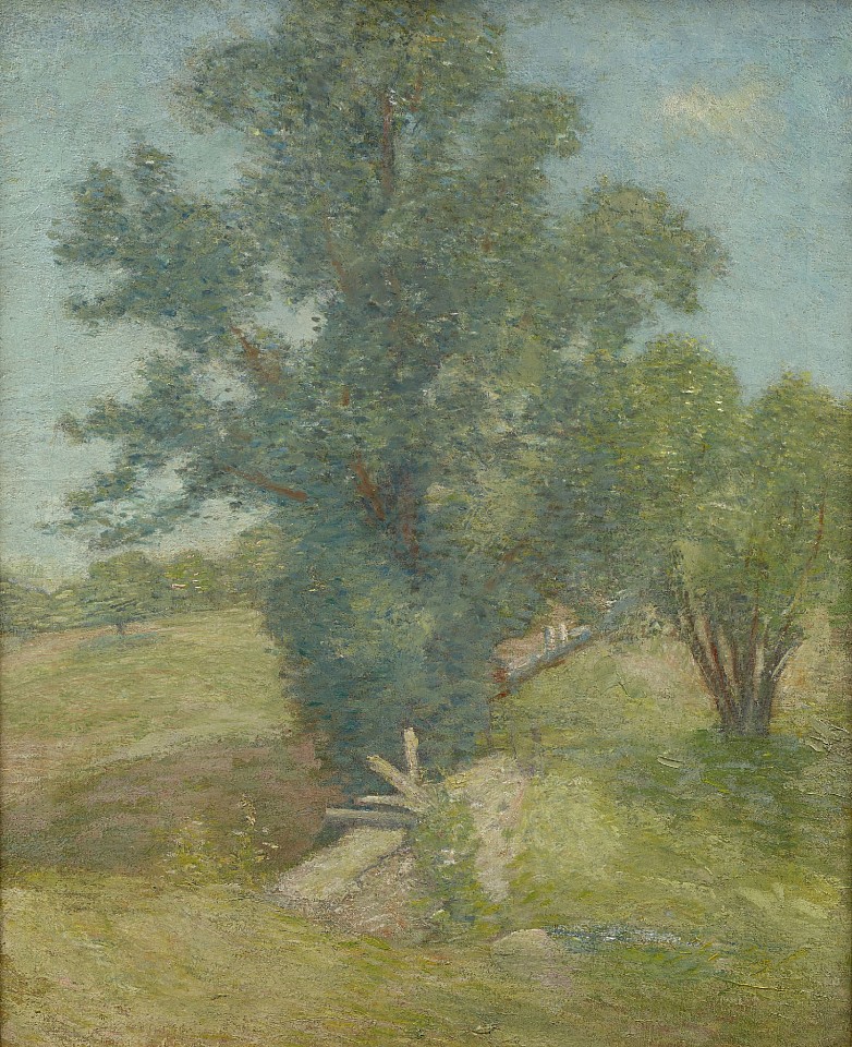 Julien Alden Weir, Tree and Meadow, Connecticut, 1900
oil on canvas, 28 x 23 in. (71.1 x 58.4 cm)
JAW190401