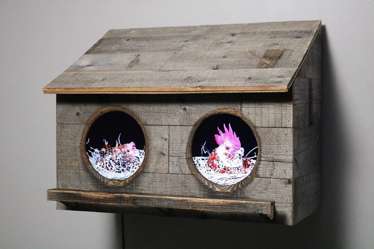 Troy Abbott, Two City Chicks in Gray, 2019
Wood, mixed media, video, 18 x 24 x 15 1/2 in. (45.7 x 61 x 39.4 cm)
TA190601