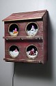 Troy Abbott, Four City Chicks in Red
2019, Wood, mixed media, video