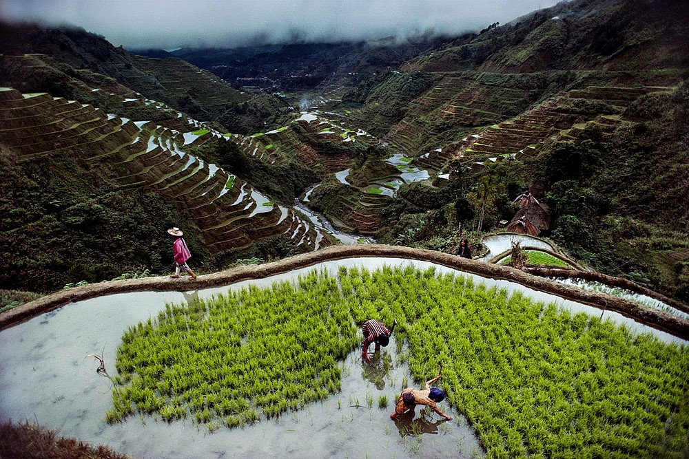 Steve McCurry, Banaue Rice Terraces, 1985
FujiFlex Crystal Archive Print, 20 x 24 in. (50.8 x 61 cm)
PHILIPPINES-10001NF2.2015