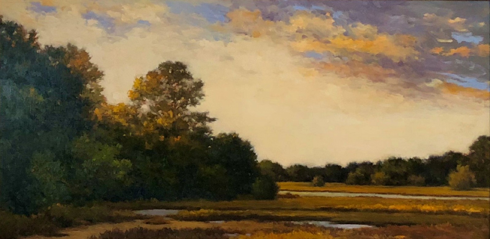 David Peikon, Evening on the Marsh, 2017
oil on panel, 12 x 24 in. (30.5 x 61 cm)
DP200128
