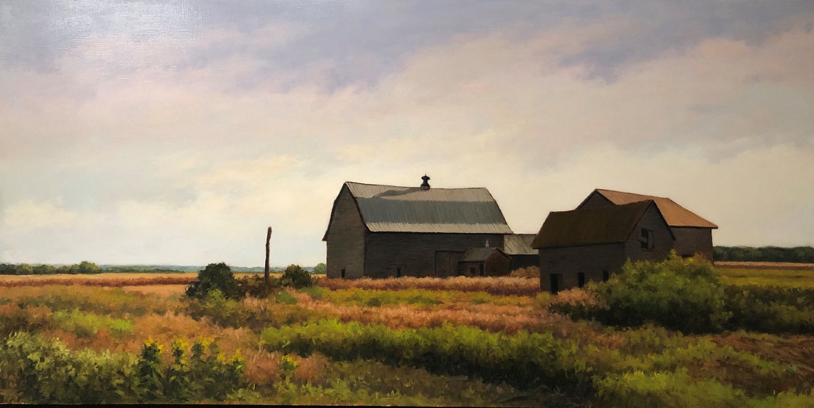 David Peikon, Heading North, 2016
oil on linen, 24 x 48 in. (61 x 121.9 cm)
DP200111