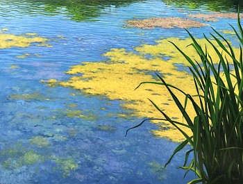 David Peikon -&nbsp;David Peikon Iris and Water Lentils