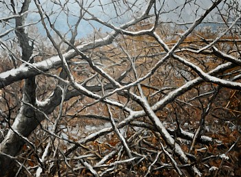 David Peikon -&nbsp;David Peikon Homage to Cajal