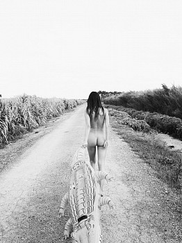 Nathan Coe - Nathan Coe Later Gator